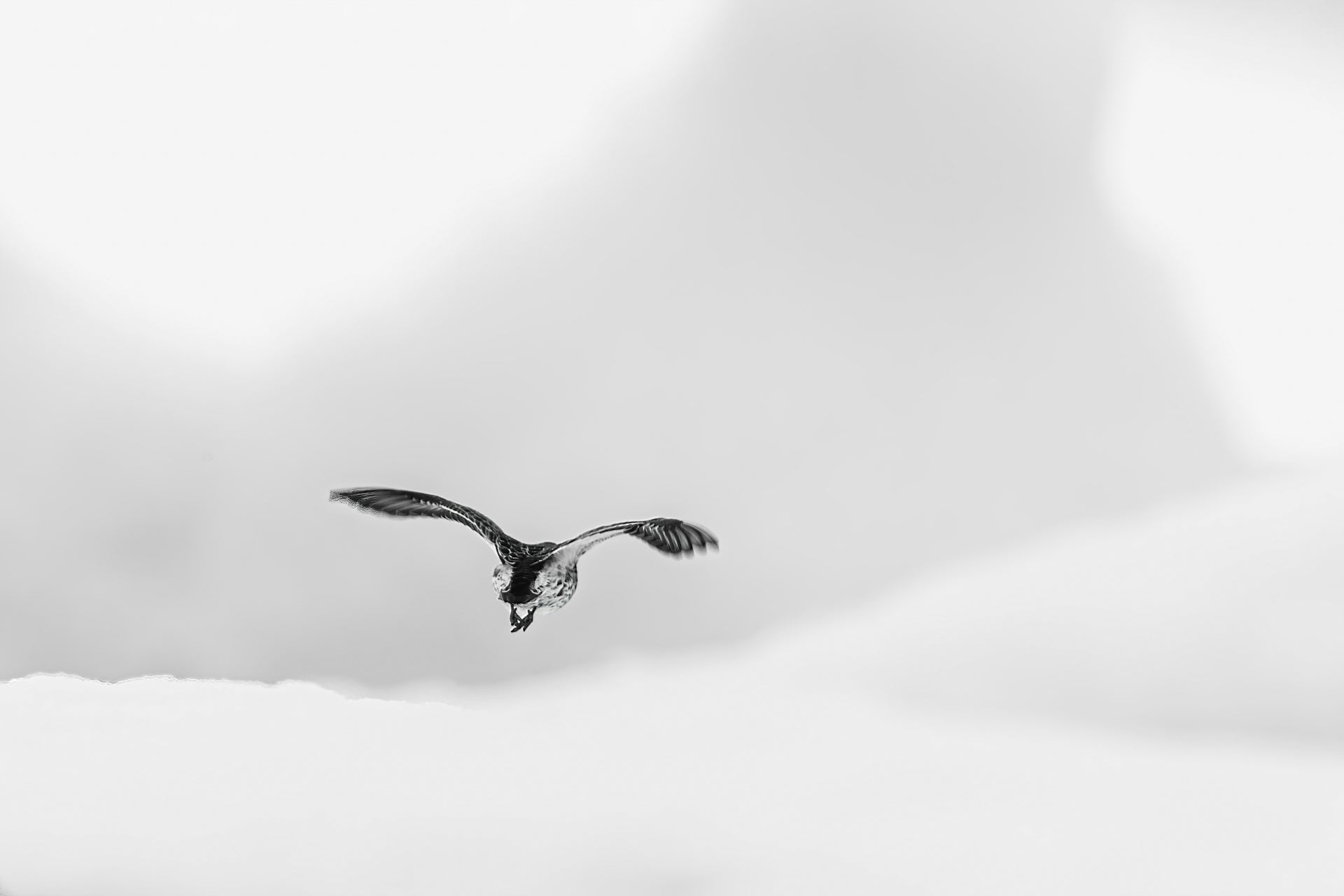 Svalbard